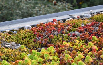 the cost of Pixley green roof installation